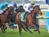 ‘Bradman’s brother’: Winx’s sister in surprise stable move