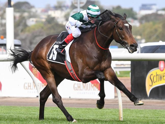 Future History (GB) ridden by Craig Williams wins the The Lexus Bart Cummings at Flemington Racecourse on October 07, 2023 in Flemington, Australia. (Photo by Pat Scala/Racing Photos via Getty Images)