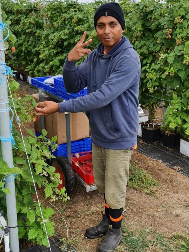 Timor-Leste father and husband Germenino De Deus, 34, died after being struck by lightning while working at a Berry Springs mango farm on Monday, November 22. Picture: Facebook