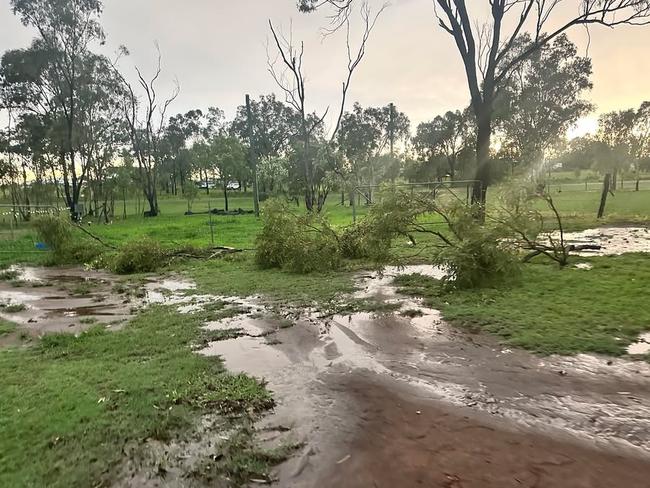 Trees were torn up at Hollie Cope's Gracemere property during a wild storm on January 12, 2025.