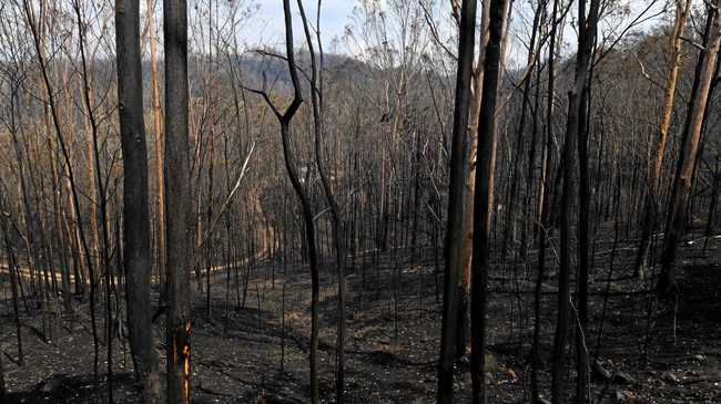 There was significant damage in Ewingar as a severe fire hit the hills. Picture: Marc Stapelberg