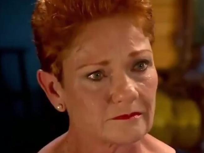 30/04/2019 Pauline Hanson on A Current Affair.