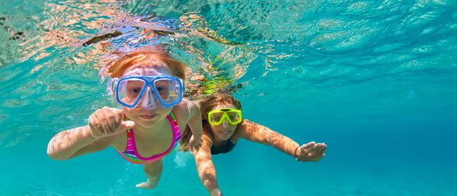 The whole family can learn so much about the underwater world along The Port Noarlunga Reef Underwater Trail.