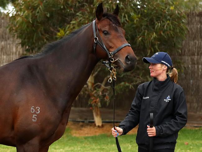 MELBOURNE, AUSTRALIA - OCTOBER 17: Foreman Aleisha Legg parades The Chosen One for the media during a The Chosen One Flemington Stable Media Opportunity at Flemington Racecourse on October 17, 2019 in Melbourne, Australia. (Photo by Kelly Defina/Getty Images)