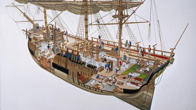 A cutaway painting of Captain Cook's Endeavour ship. Picture: Getty