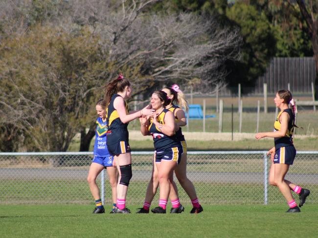 SFLW Community League - Action from Sorell v St Virgils during the annual Pink Sock-Carolyn Birch Memorial Match. Picture: Jake Garland