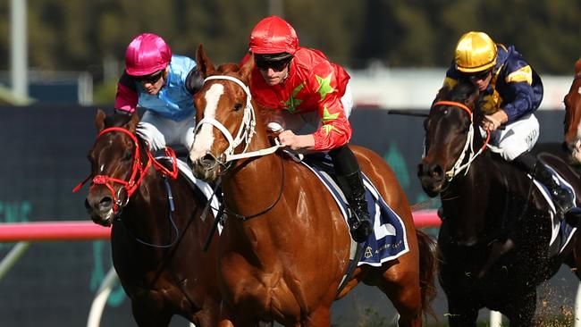 Gatsby’s charges clear to win the Listed Rosebud at Rosehill on August 17. Picture: Jeremy Ng / Getty Images