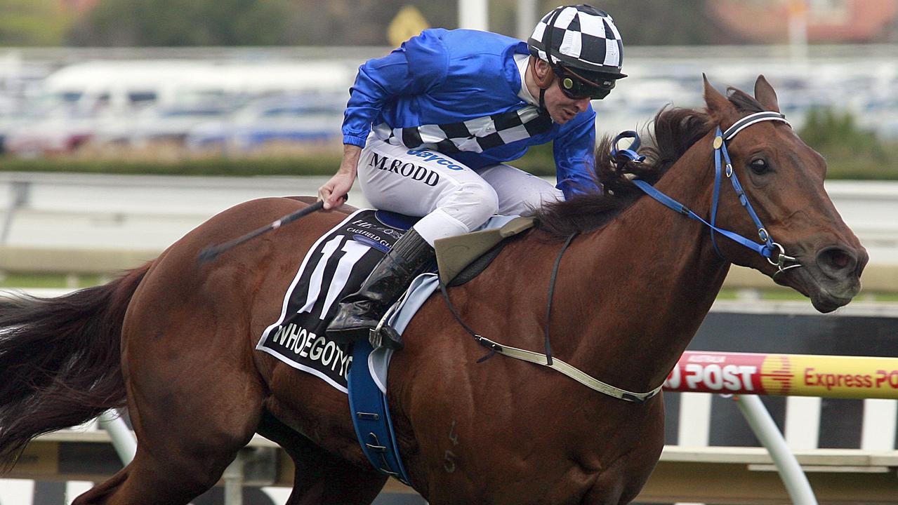 Caulfield Race 7. N011 Whobegotyou Michael Rodd lead the field home in the Caulfield Guineas