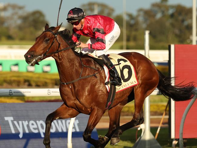 SYDNEY, AUSTRALIA - JUNE 29: Nash Rawiller riding Bear On The Loose wins Race 10 Petaluma during "McKell Cup Day" - Sydney Racing at Rosehill Gardens on June 29, 2024 in Sydney, Australia. (Photo by Jeremy Ng/Getty Images)