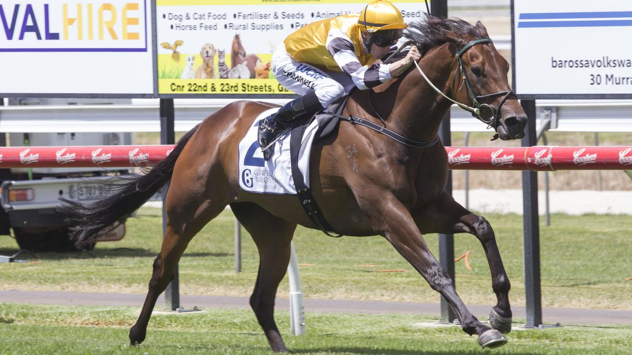 Racing: Bow Mistress Trophy Target For Tiara Star 