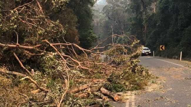 Photos of the Cunningham Highway through Cunninghams Gap from the Department of Transport and Main Roads show the damage done to the road which has caused its closure for the foreseeable future.