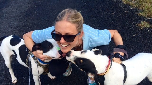 Recruiter and dog trainer Kacie Gauld, 38, from Bulimba, with other dogs at a rescue organisation. Picture: Facebook