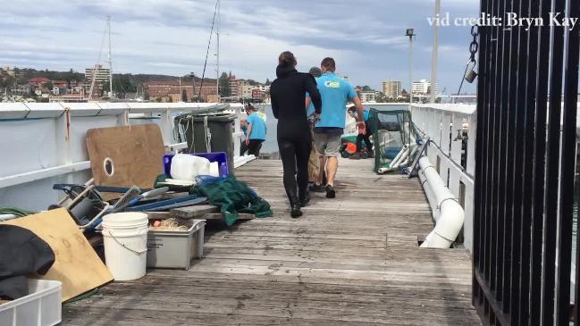 Manly Sea Life Sanctuary staff release a great white 