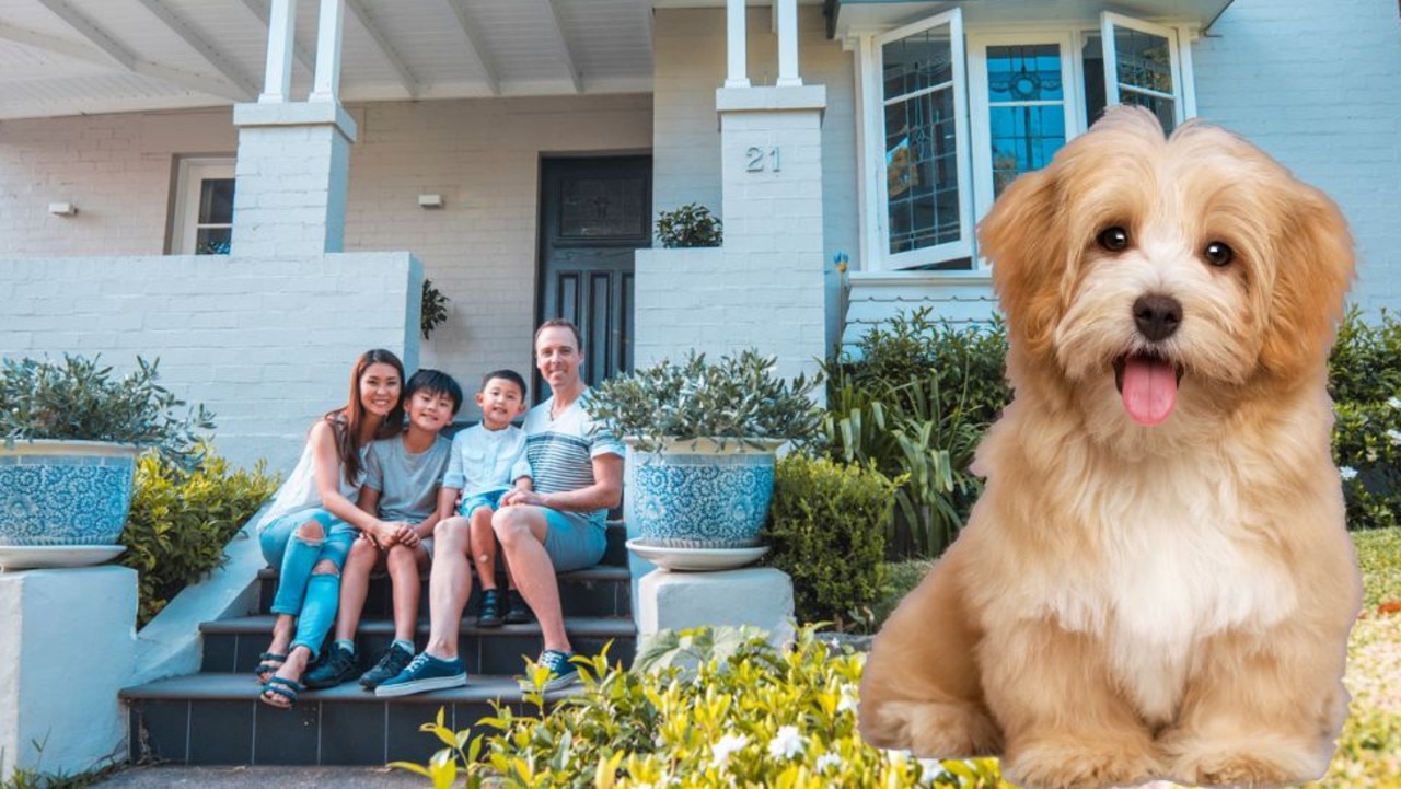 Family law changes for couples with property, pets: What it means