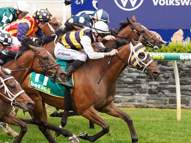 Amade (IRE) ridden by Zac Spain wins the bet365 Geelong Cup at Geelong Racecourse on October 25, 2023 in Geelong, Australia. (Photo by Scott Barbour/Racing Photos via Getty Images)