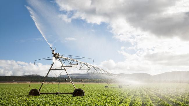 Lakeland’s irrigation scheme is back in the spotlight as the state government looks to boost agriculture output to $30bn by 2030. Picture: iStock.