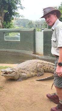 How croc handler survived attack by 600kg saltie