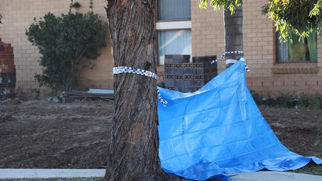 The crime scene in St Clair, where Camilleri allegedly left her mother’s head on the footpath. Picture: David Swift