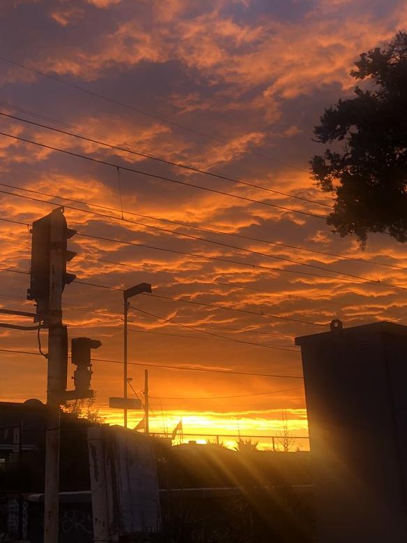 A treat for commuters yesterday evening. Picture: Emily Benammar/Twitter
