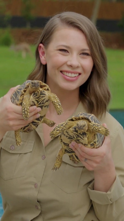 Bindi Irwin reflects on her journey with endometriosis