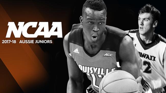 Our top 5 Aussie juniors in college basketball.