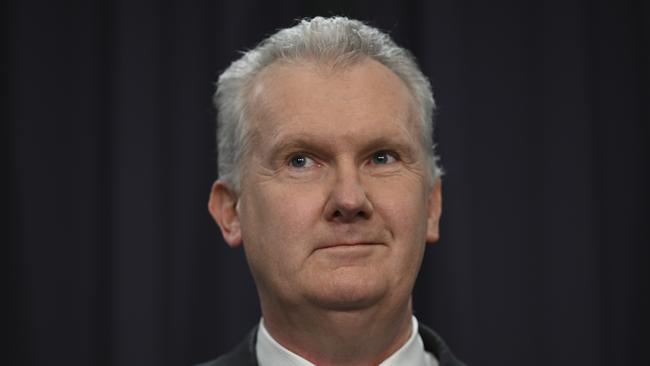 Immigration Minister Tony Burke. Picture: NewsWire / Martin Ollman