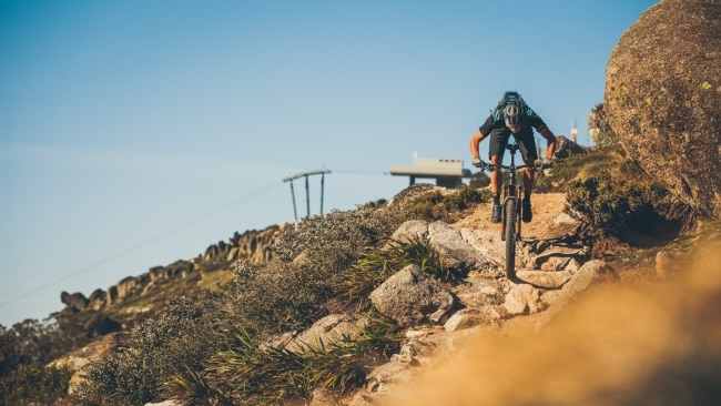 Thredbo mountain bike season hot sale