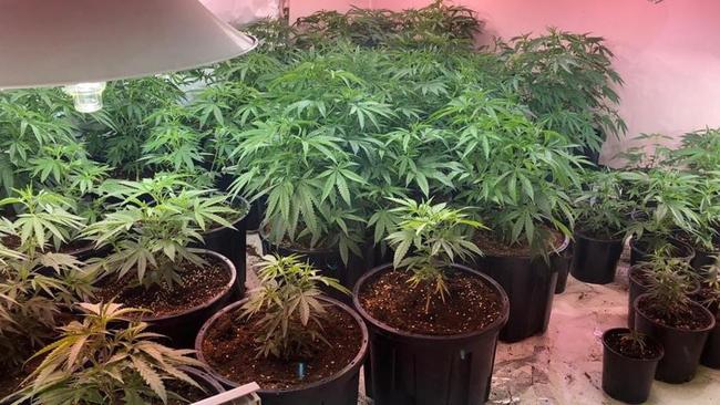 NSW Police has released a series of signs that a house is a marijuana hydro house.