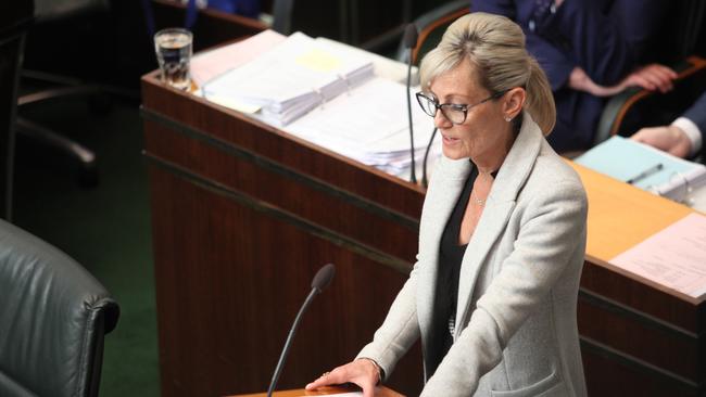 Attorney General Elise Archer in State Parliament in Hobart on Wednesday July 31, 2019.