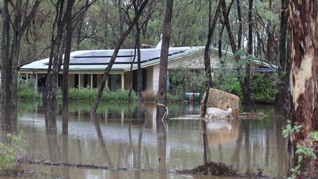 A house in flood waters near Bendigo in January last year. Picture: David Crosling