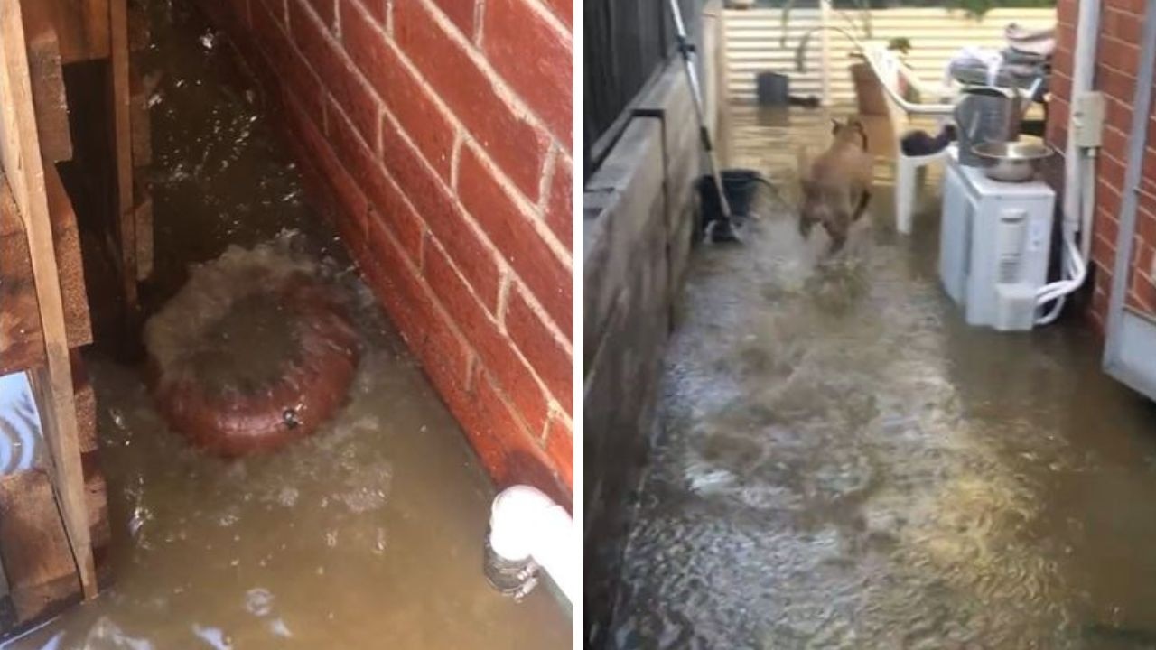 A moat of sewage was shown formed around the outside of a house. Picture: Twitter