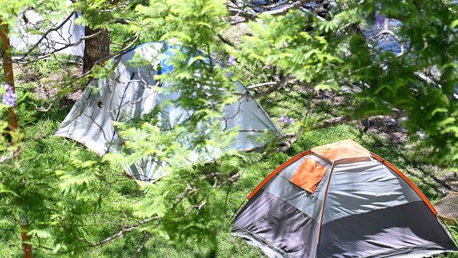 Homeless tents under William Jolly Bridge. Picture, John Gass