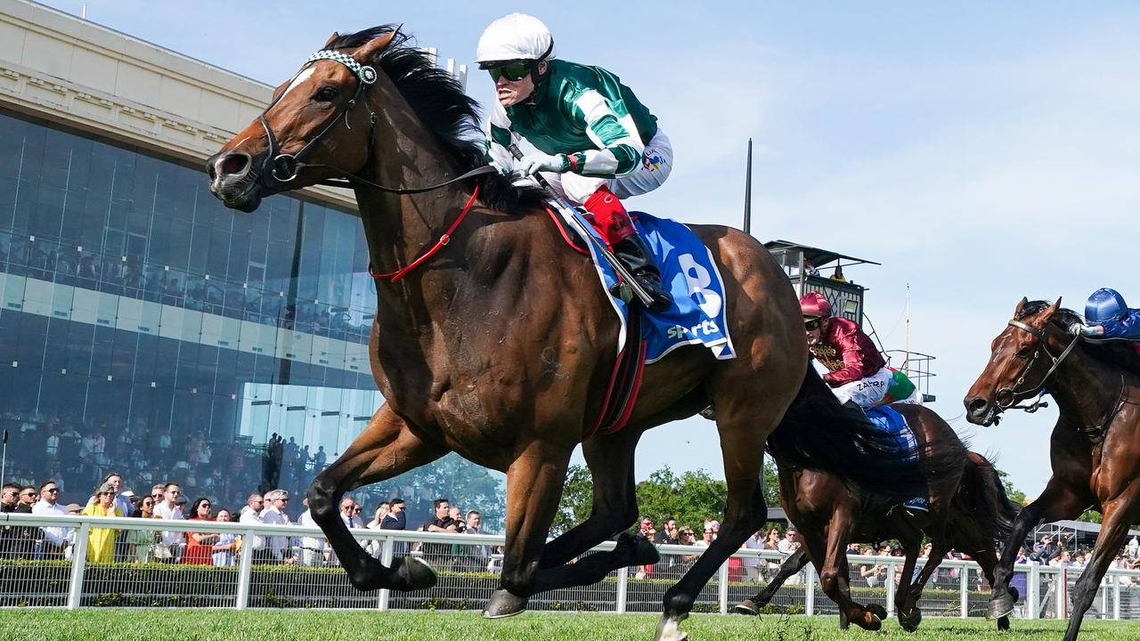 Kimochi will stay in Sydney to compete during The Championships instead of heading to Melbourne for Saturday’s Group 1 William Reid Stakes at The Valley. Picture: Racing Photos