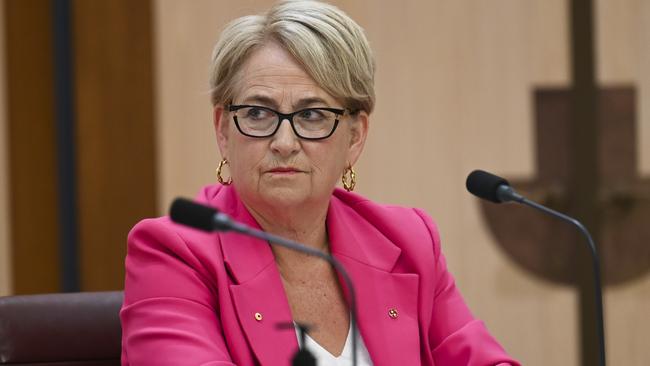 Senator Barbara Pocock. Picture: Martin Ollman