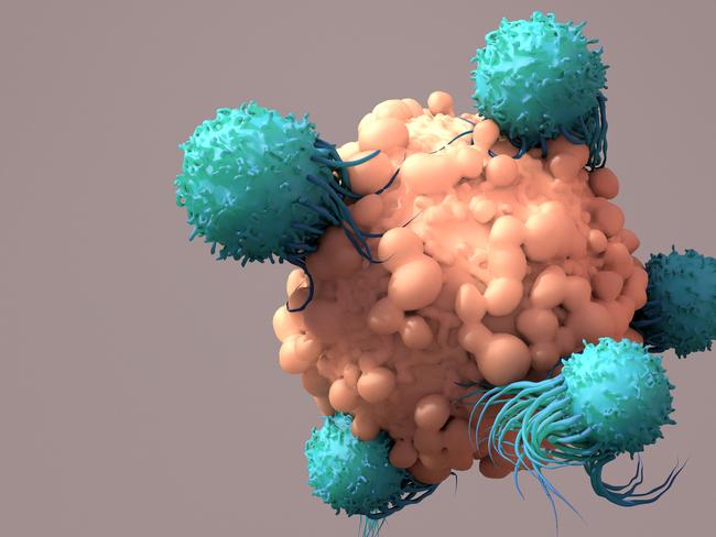 T-Cells Work to Fight Cancer, Immunotherapy, CAR T-cell therapy, 3d renderin