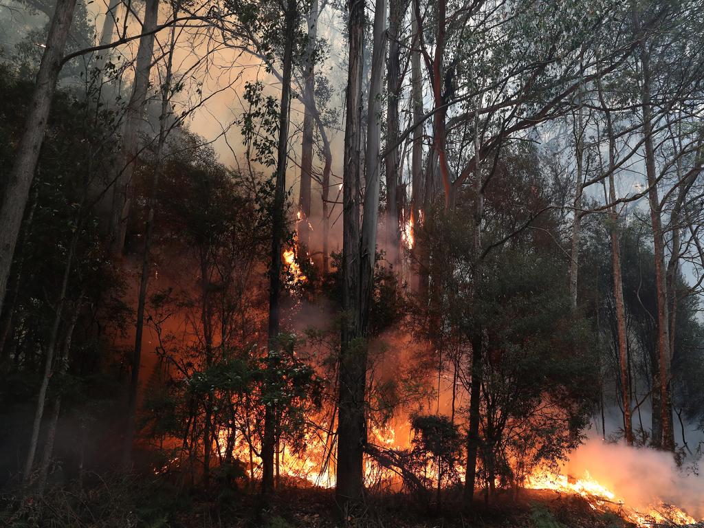 January 2019 Tasmanian Bushfires. Spot fire on Arve Rd near Geeveston in the Huon Valley. Picture: NIKKI DAVIS-JONES