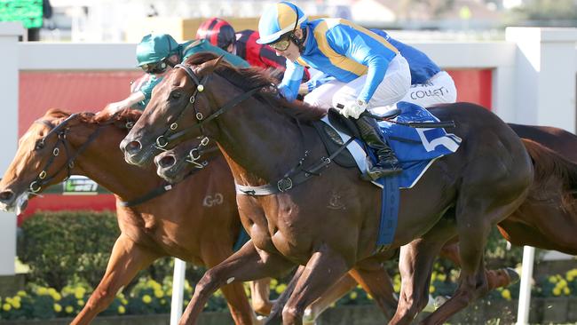 Rolling forward: Winning Rupert and Jeff Lloyd salute for Bjorn Baker at Doomben. Picture: Jono Searle