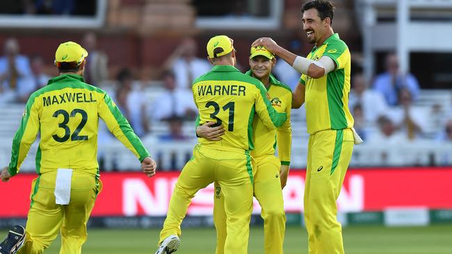 Warner and Smith celebrate a wicket against New Zealand