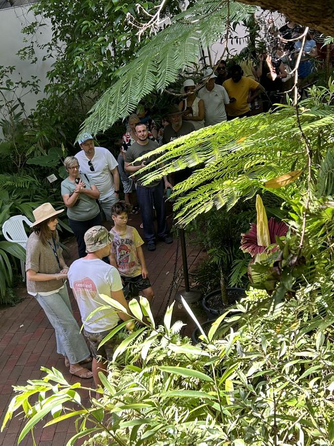 Thousands of visitors waited hours to catch a glimpse and smell the ‘corpse flower’. Picture: Kitty Barr