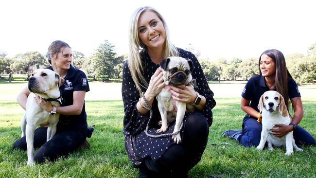 Animal Justice Party MP Emma Hurst (centre) pictured with Mia the pug and Animal Welfare League staff. Picture: Toby Zerna
