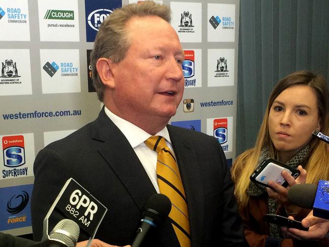 Billionaire businessman Andrew Forrest.