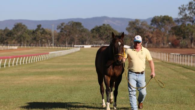 Mareeba trainer Alex Malliff with Amuleto. PHOTO: Bronwyn Wheatcroft.