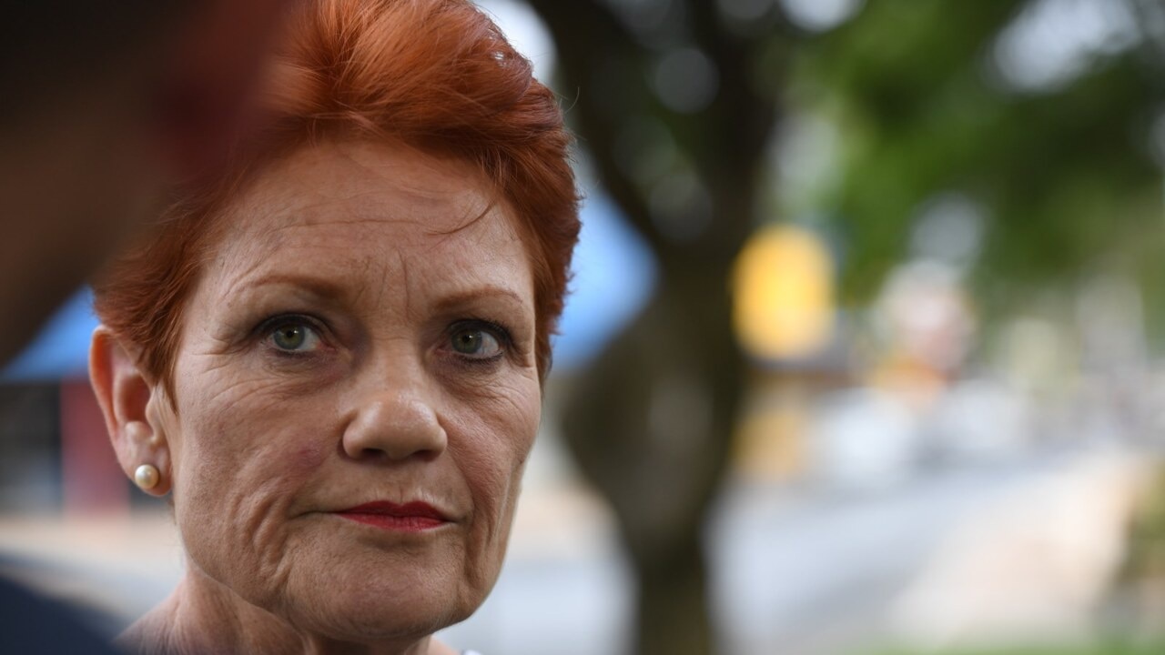 Pauline Hanson slam Steve Dickson strip club scandal as 'unacceptable'