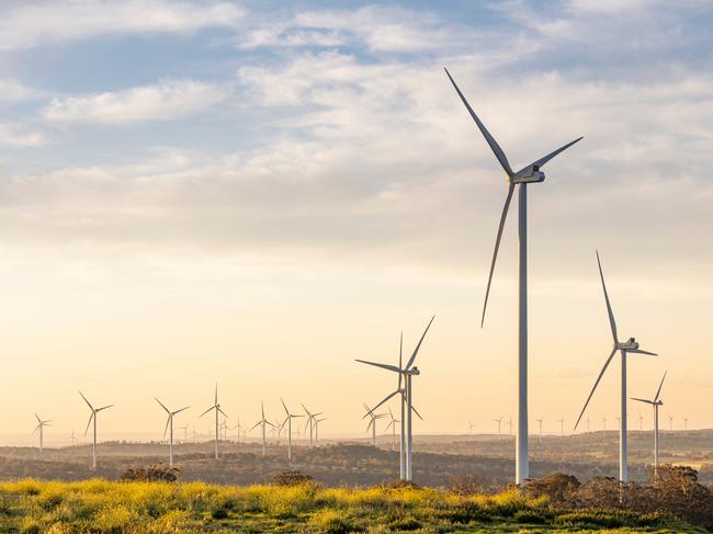BUSH SUMMIT: Squadron Energy offered Australia’s first, large-scale, public, community investment into a utility-scale wind farm, via the Sapphire Wind Farm Community Co-investment. Picture: Supplied