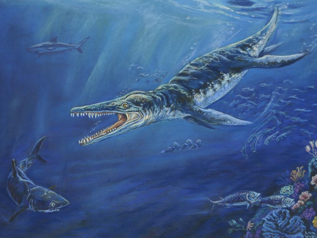 An artist’s impression of a Kronosaurus swimming in Australia’s prehistoric inland sea. Picture: Lisa Wallace/Kronosaurus Korner