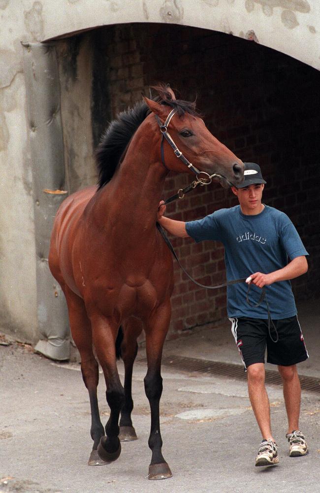 Racehorse Mushtak led by strapper Paul Gatt in January, 1998.