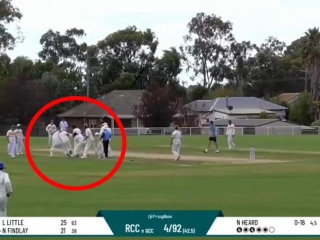 Park cricket chaos! Punch-on halts match