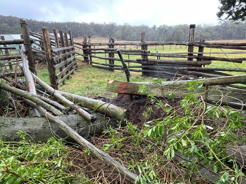 Damage after wild storms destroyed homes and left towns without power in parts of Victoria. Picture: Zoe Phillips