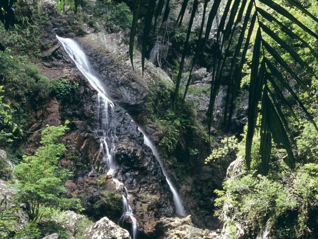 38/47Chase waterfalls You’ve seen Kondalilla but what about Wappa Falls in Yandina or Baxter Falls (pictured) in Flaxton? Discover hidden waterfalls even locals don’t know about and you’ll have no worries about social distancing.