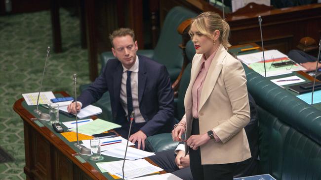 Liberal health spokeswoman Ashton Hurn. Picture: Emma Brasier/File